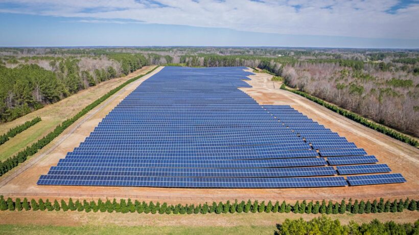 Extensive solar farm surrounded by forests in White Level, NC, showcasing renewable energy.